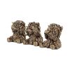 Three Wise Gold Highland Cows Unspecified Gifts Under £100