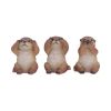 Three Wise Otters Animals Gifts Under £100