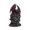 Midnight Warden Dragons New Arrivals