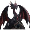 Midnight Warden Dragons New Arrivals
