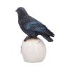 Nevermore Vigil Ravens New Arrivals