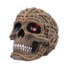 Rooted Remains Skulls New Arrivals