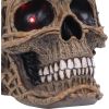 Rooted Remains Skulls New Arrivals
