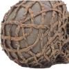 Rooted Remains Skulls New Arrivals