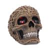 Rooted Remains Skulls New Arrivals
