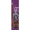 Hoard Protector Box (Purple) - 7