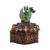 Hoard Defender Box (Green) Dragons New Arrivals