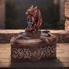 Hoard Defender Box (Red) Dragons New Arrivals