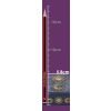 Celestial Treasure Box - 7