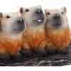 Capybara Herd Animals New Arrivals