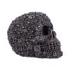 Screwed Skulls New Arrivals