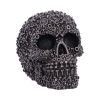 Screwed Skulls New Arrivals